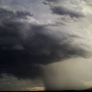 2026 Winter Renewal Immersive Series