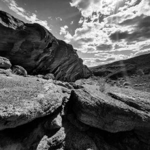 Immersive Workshops & Engagements