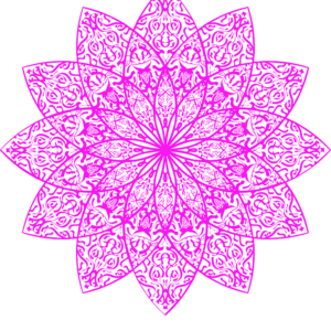 INTRODUCTORY +1 is 1/2 Off Full Wknd