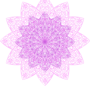 Saturday Series Savings